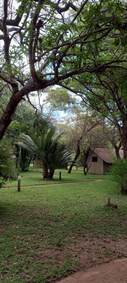 Shumba Safari Bush Camp Villa Hoedspruit Eksteriør billede